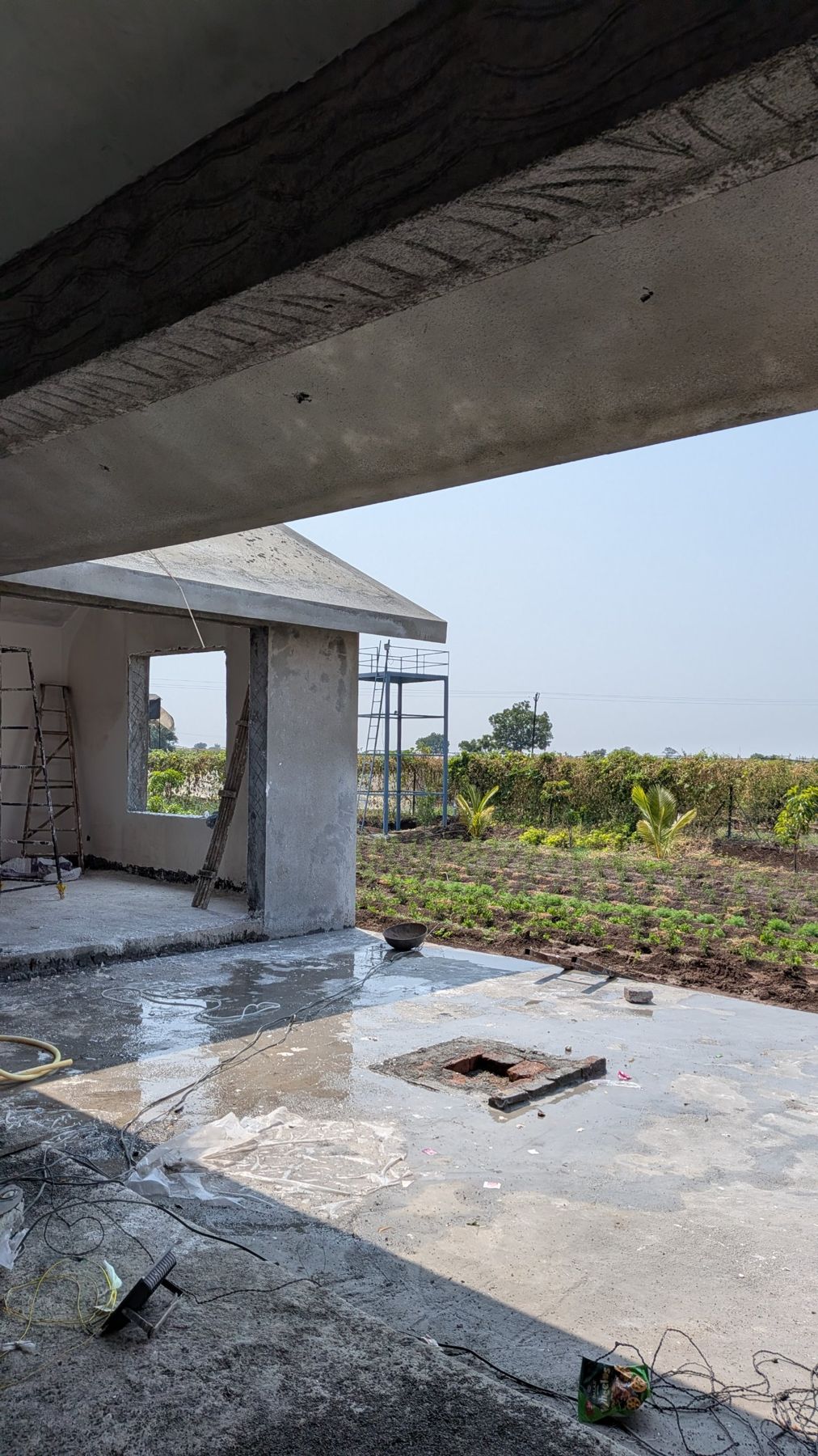 View from the verandah over fresh vegetable rows and young coconut palms, site photo